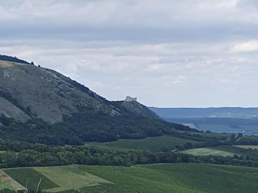 Ubytování nad sklípkem Valtice Exterior foto